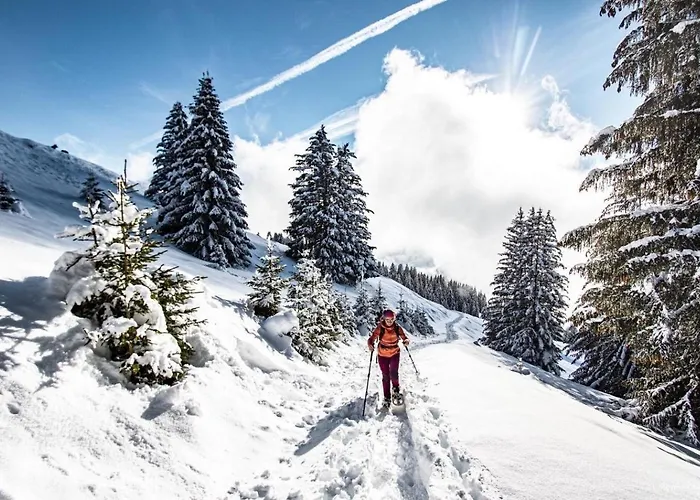 Portes Du Soleil Psa47 Telecabine & Mountain 4 Per Appartamento Châtel